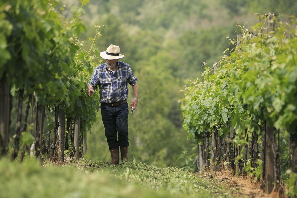 Agriturismo Il Belvedere Palazzago Eksteriør bilde